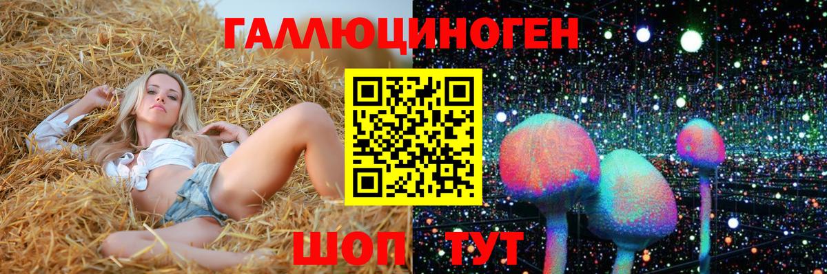 Псилоцибиновые грибы ЛСД Алейск